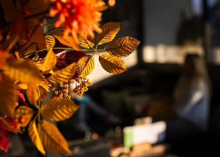 Restaurant 'de Vossenberg' וירהאוטן